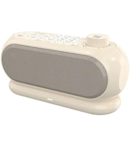 Amazon.co.jp: パナソニック コンパクトハイパワースピーカー WS-A85