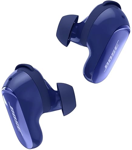 Amazon.co.jp: Bose QuietComfort Earbuds Fit Kit チルドライラック