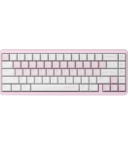 Amazon.co.jp: Varmilo Minilo VXH67 Graptopetalum Mendozae 65