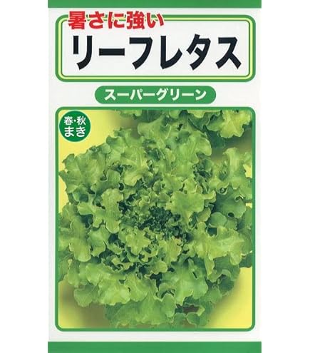 Amazon.co.jp: tohok sunny lettuce : DIY, Tools & Garden
