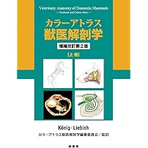 614ei9Mpt4L._AC_UL210_SR210,