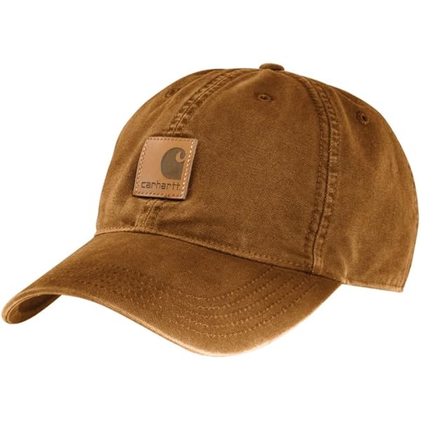 Amazon | Carhartt メンズ レインディフェンダー キャンバス イヤー