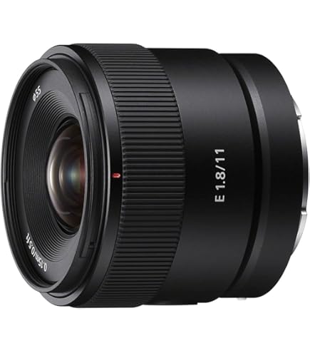 Amazon.co.jp: SONY(ソニー) 広角単焦点レンズ APS-C E 15mm F1.4 G G