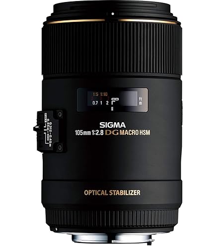 Amazon.co.jp: Nikon 単焦点レンズ Ai AF Nikkor 180mm f/2.8D IF-ED