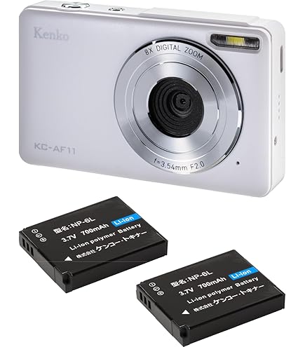 Amazon.co.jp: Panasonic Lumix DMC-FS1 Digital Camera Silver