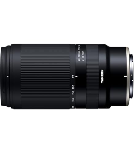 Amazon.co.jp: Tamron 100-400mm F/4.5-6.3 VC USD 望遠ズームレンズ