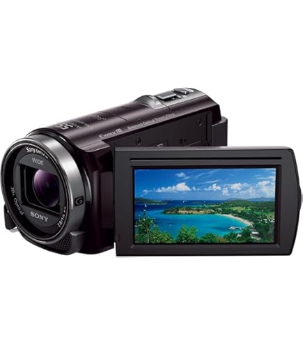 Amazon.co.jp: SONY ビデオカメラ Handycam PJ540 内蔵メモリ32GB