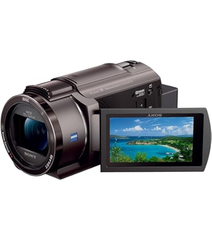 Amazon.co.jp: パナソニック デジタル4Kビデオカメラ VX980M 64GB あと