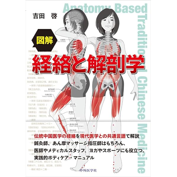 クラニオセイクラル・バイオダイナミクス VOL.2 | フランクリン