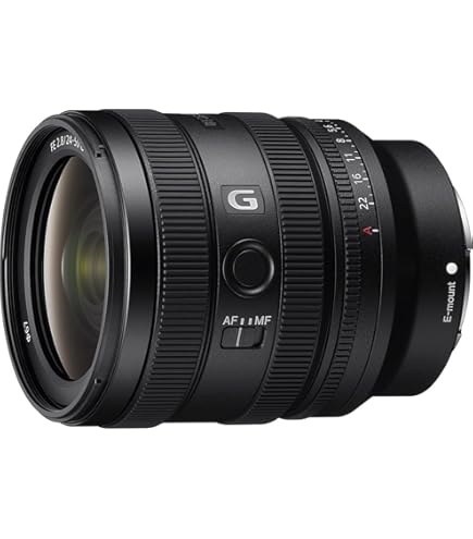 Amazon.co.jp: Sony (ソニー) - FE 24-105mm F4 G OSS 標準ズーム