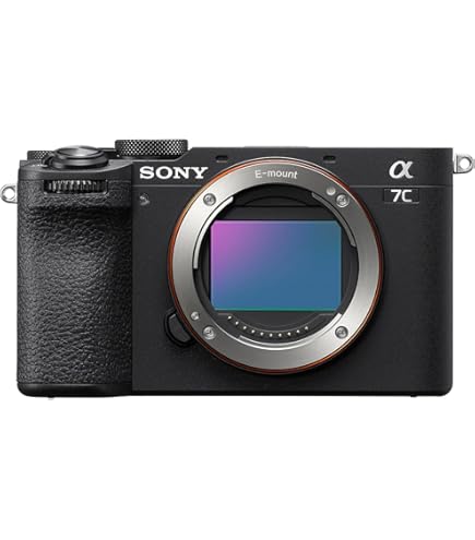 Amazon | SONY(ソニー) APS-C ミラーレス一眼カメラ α6400 ボディ