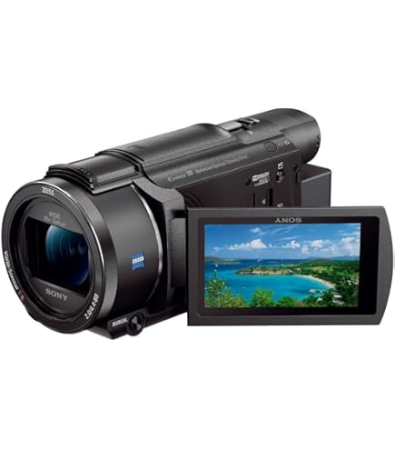 Amazon | SONY HDビデオカメラ Handycam HDR-CX590V ボルドーブラウン