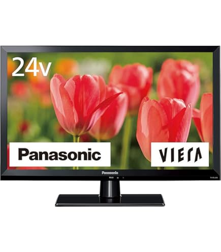 Amazon | パナソニック 24V型 液晶 テレビ プライベート・ビエラ UN