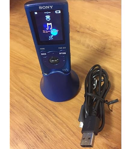 Amazon.co.jp: SONY ウォークマン Eシリーズ [メモリータイプ