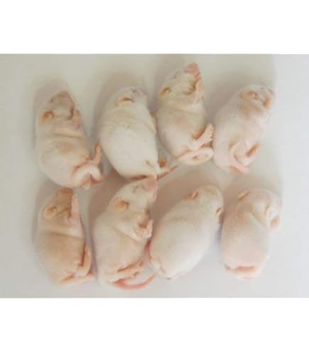 Amazon | 冷凍ホッパーマウス 100匹 | オリジナル | フード 通販