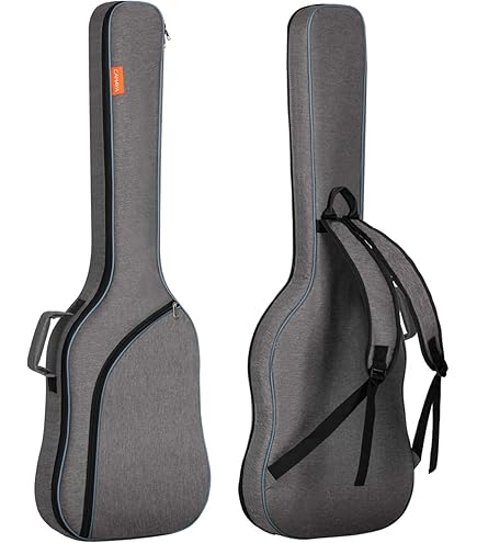 Amazon.co.jp: FERNANDES ZO-3用ソフトケース : 楽器・音響機器