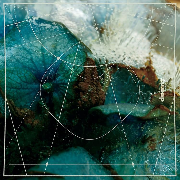 Amazon.co.jp: 第四作品集『無題』再発 - downy: ミュージック