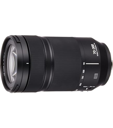 Amazon.co.jp: LUMIX S 24-105mm F4 MACRO O.I.S. : 家電＆カメラ