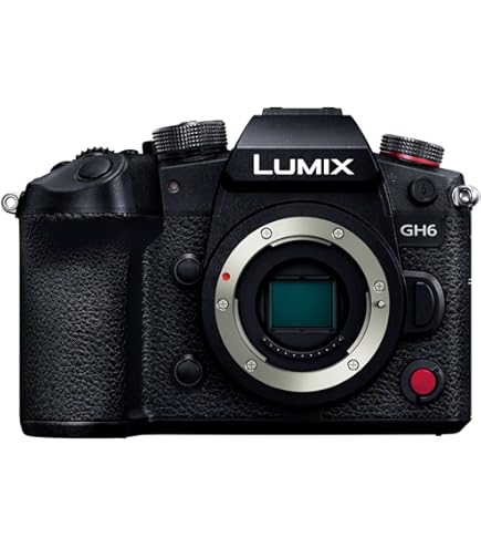 Amazon | PANASONIC LUMIX GH5 ボディ 4K ミラーレスカメラ 20.3メガ