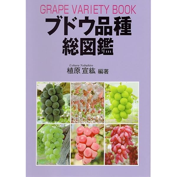 Amazon.co.jp: ブドウ畑から始まる職人ワイン造り: ブドウ栽培から