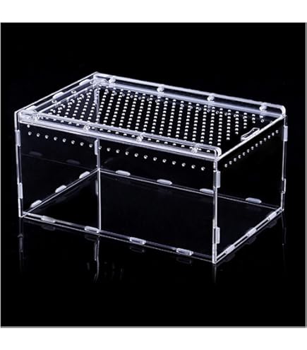 Amazon | SAYPANLAR 爬虫類 ケージ 30 × 20 × 15 CMレプタイルボックス