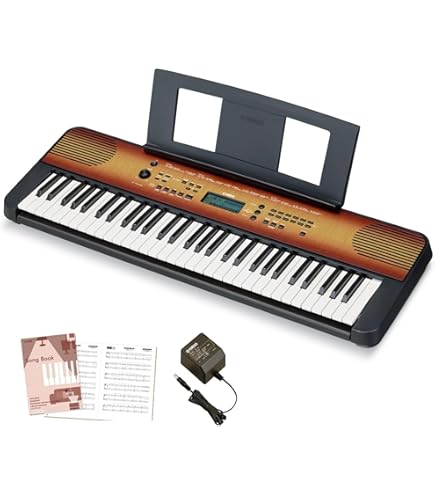 Amazon.co.jp: カシオ 電子キーボード61標準鍵 光ナビゲーション