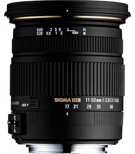 Amazon.co.jp: SIGMA 17-70mm F2.8-4 DC MACRO OS HSM | Contemporary