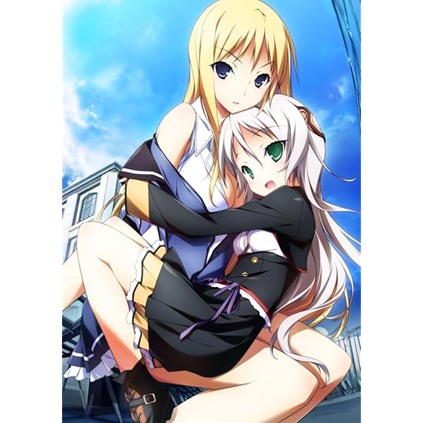 Amazon.co.jp: BALDRSKY Dive2 新装版 : PCソフト