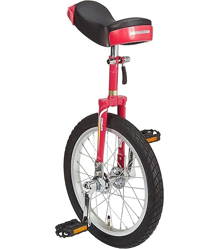 Amazon | どのスポーツのトレーニングにも一輪車は最適。 バランス感覚