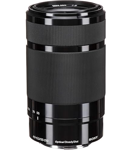 Amazon.co.jp: SIGMA 望遠ズームレンズ 70-300mm F4-5.6 DG MACRO