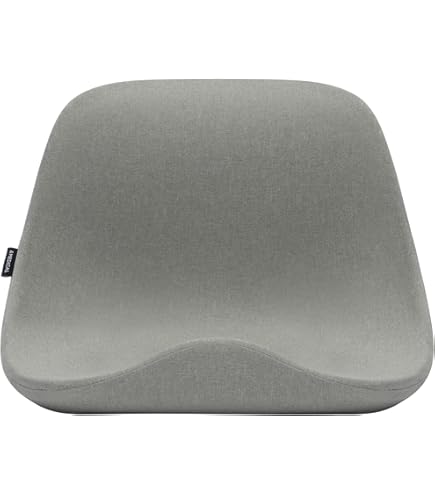 Amazon.co.jp: アンドメディカル KURA SEAT 座椅子 姿勢矯正 腰痛 椅子