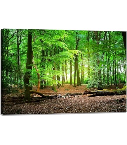 Amazon.co.jp: V.ブラウン『木漏れ日の清流(F10号)』油彩画 風景画