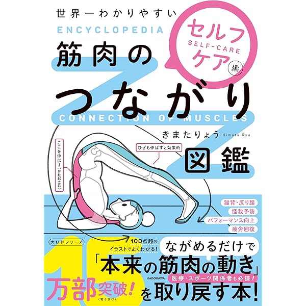 下肢のスポーツ疾患治療の科学的基礎:筋・腱・骨・骨膜 (Sports