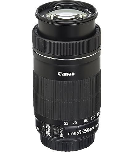Amazon.co.jp: Canon レンズ EF-S55-250mm F4-5.6 IS STM : 家電＆カメラ