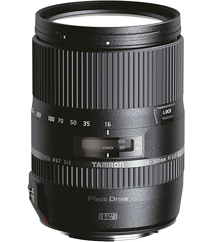 Amazon.co.jp: AF-S DX NIKKOR 18-300mm f/3.5-5.6G ED VR : 家電＆カメラ