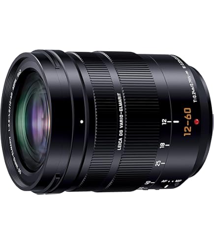 Amazon.co.jp: パナソニック 望遠ズームレンズ マイクロフォーサーズ用