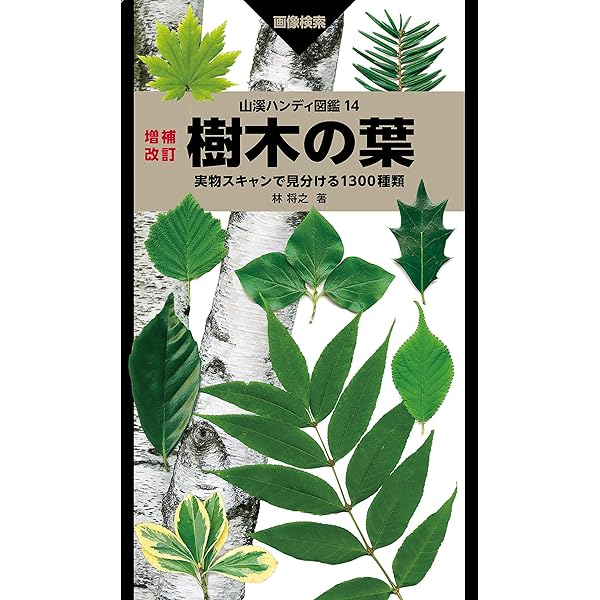 Amazon.co.jp: 日本カヤツリグサ科植物図譜 : 星野 卓ニ；正木智美