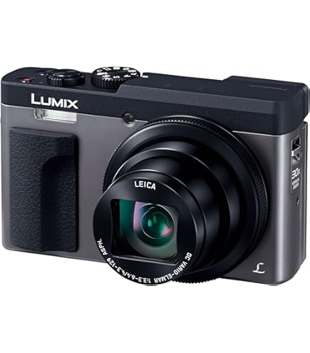 Amazon.co.jp: Panasonic LUMIX FX60 Luxe Gold DMC-FX60-N Digital