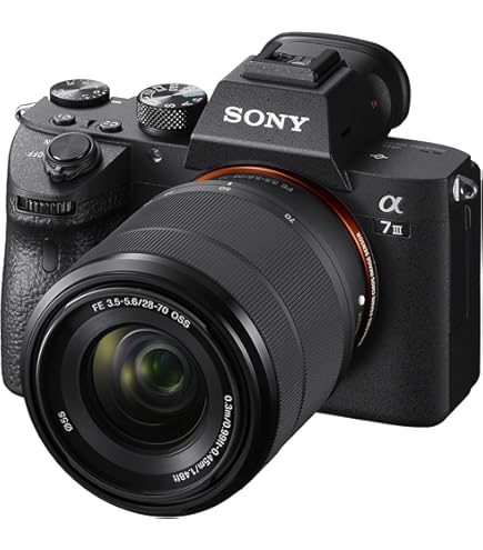 Amazon | SONY ミラーレス一眼カメラ α NEX-7 ズームレンズキット
