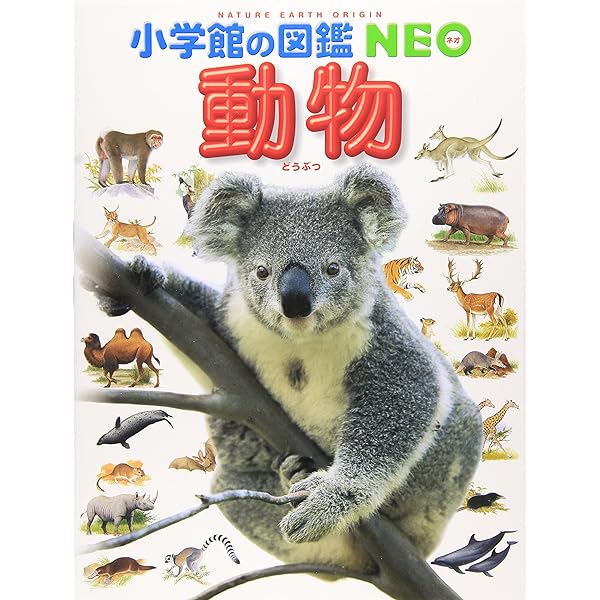 Amazon.co.jp: 乗りもの: 鉄道・自動車・飛行機・船 (小学館の図鑑
