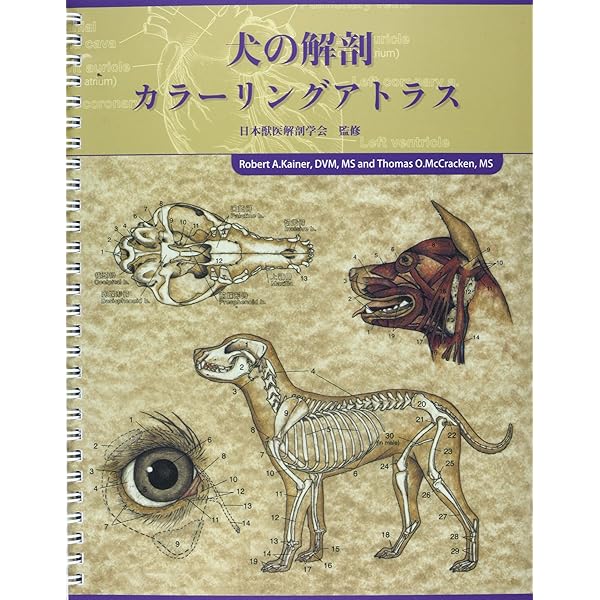 Amazon.co.jp: カラーアトラス獣医解剖学 増補改訂第2版 上巻 : カラー