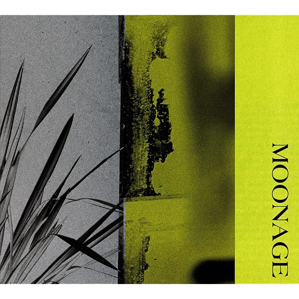 Amazon.co.jp: 【Amazon.co.jp限定】花舞う宵に月仰ぎ見て - TOUR 23