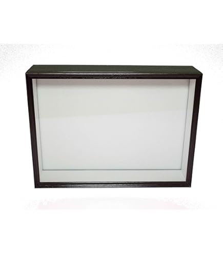 Amazon.co.jp: 大型ドイツ型標本箱（茶） : おもちゃ