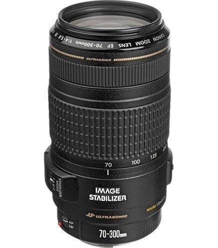 Amazon.com : Canon EF 70-300mm f/4-5.6 is USM Lens for Canon EOS