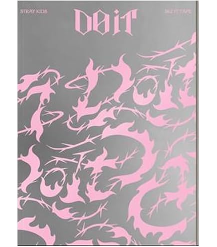 K-POP・アジア stray kids do it evil skzoover. leebit Stray Kids