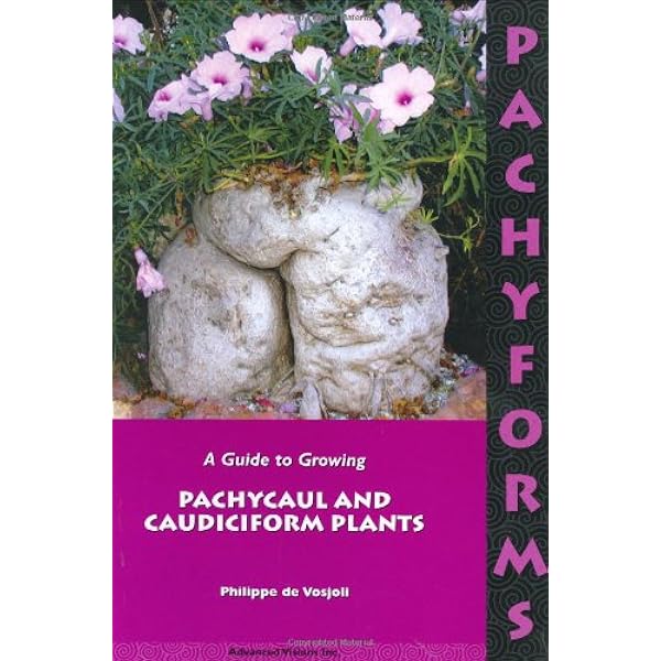 Caudiciform and Pachycaul Succulents: Pachycauls, Bottle-,Barrel