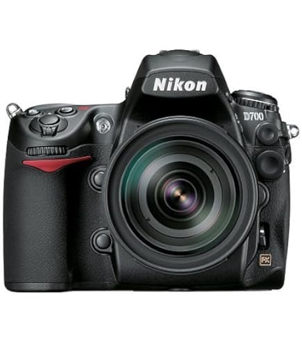 Amazon.com : Nikon D300s 12.3MP CMOS Digital SLR Camera with AF-S