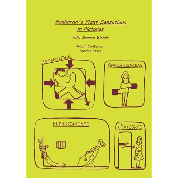An Insight Into Plants (2 Volume Set) (English Edition): Sankaran