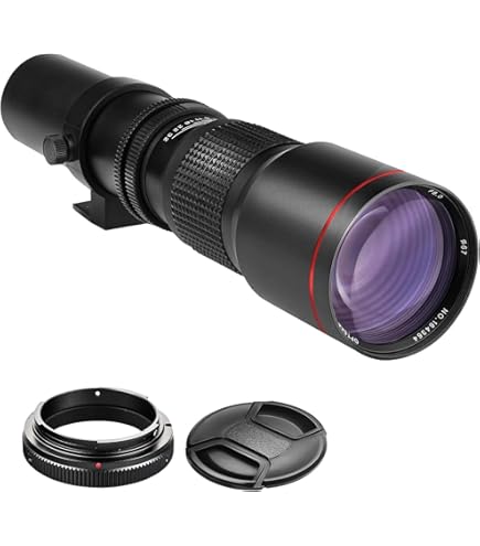 Amazon.com : OM SYSTEM OLYMPUS Zuiko 70-300mm f/4.0-5.6 ED Lens