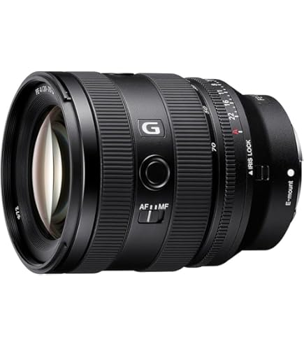 Amazon.com : Sony - FE 24-105mm F4 G OSS Standard Zoom Lens